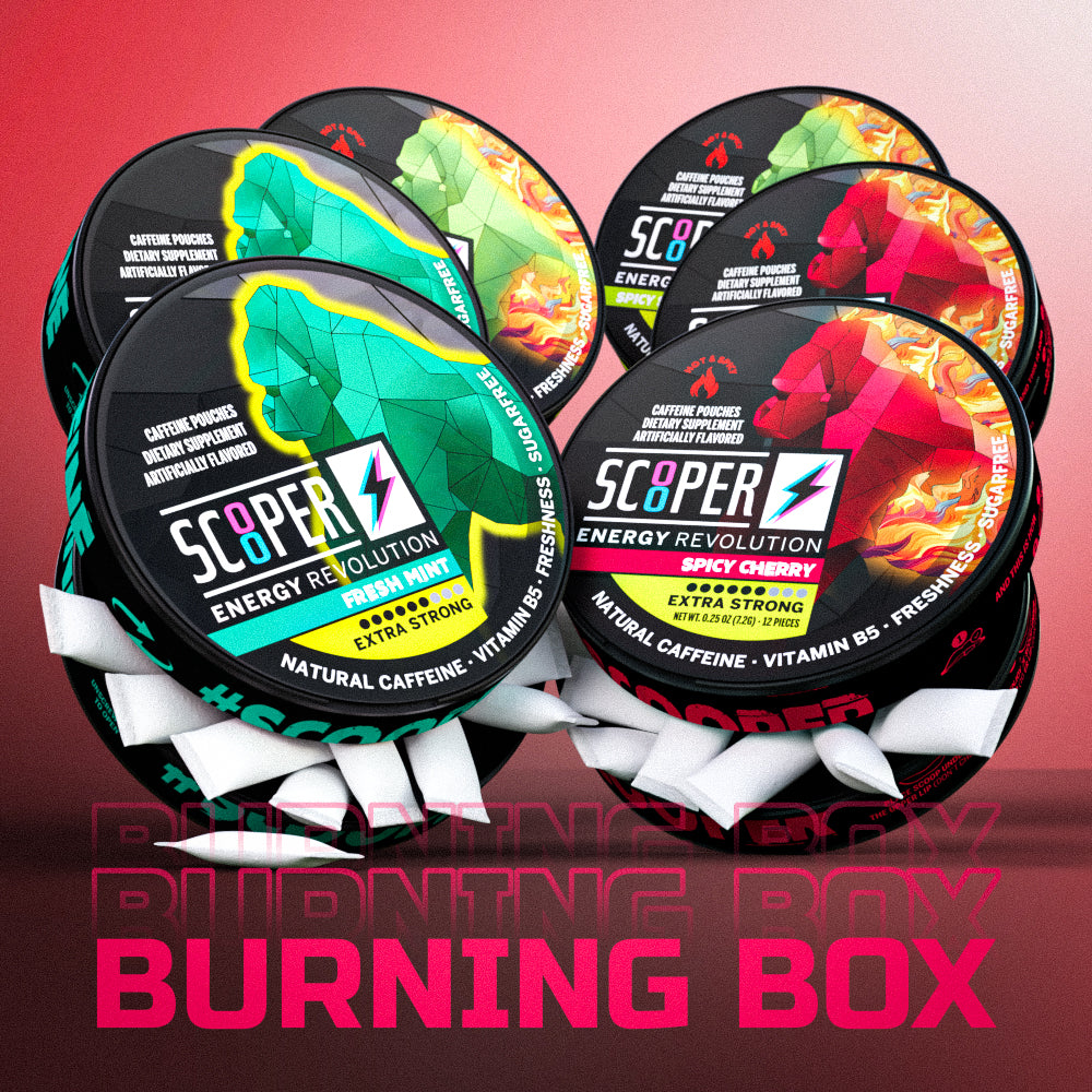 Burning Box (6 Dosen)