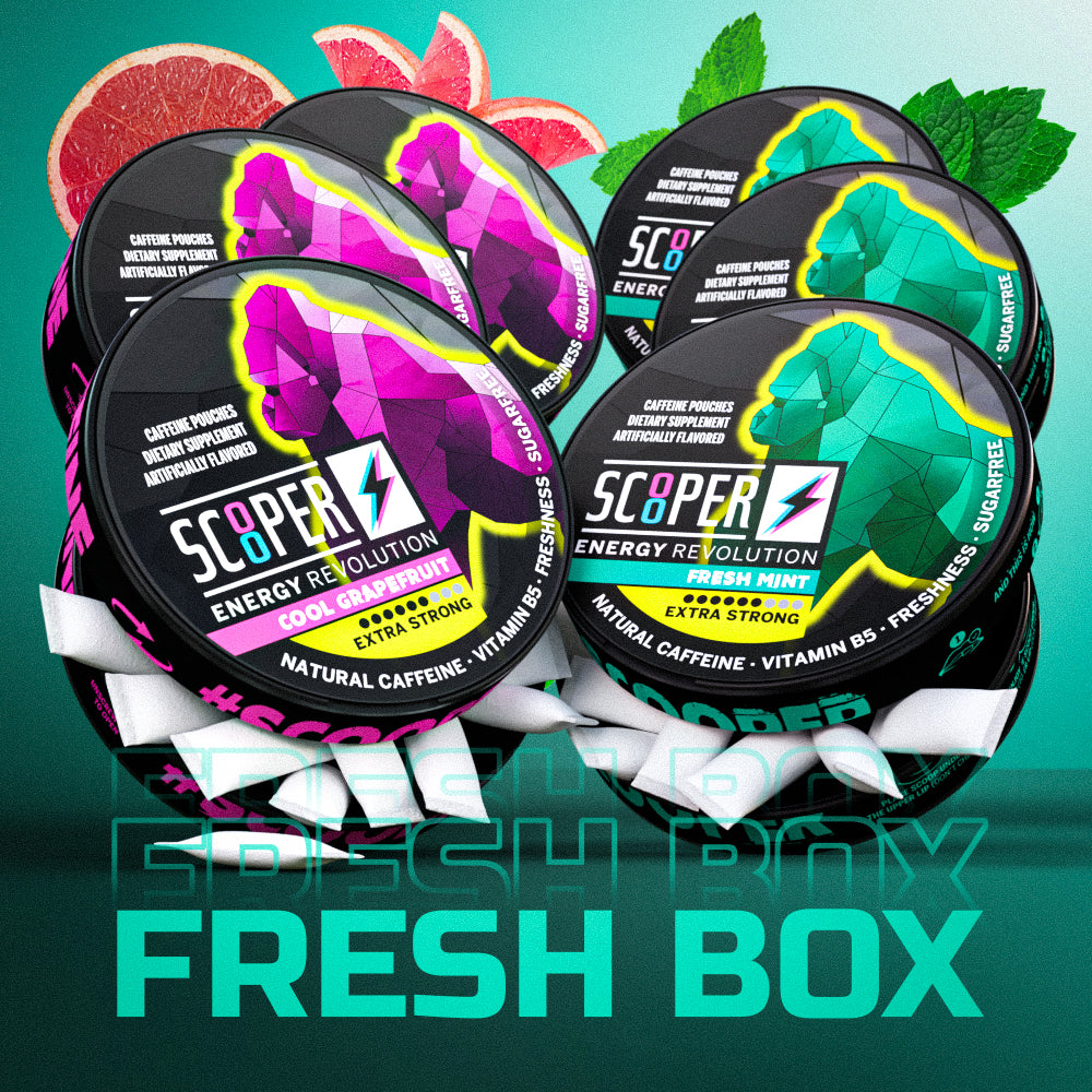 SCOOPER Energy Fresh Box Extra Strong (6 Dosen)