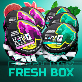 SCOOPER Energy Fresh Box Extra Strong (6 Dosen)