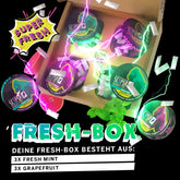 SCOOPER Energy Fresh Box Extra Strong (6 Dosen)