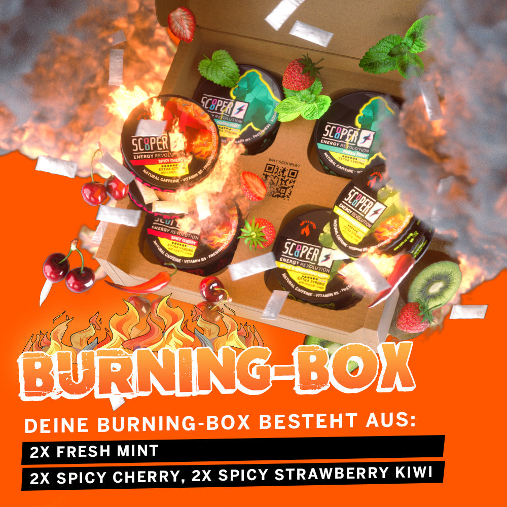 SCOOPER Energy Burning Box mit jeweils 2 Dosen Fresh Mint, 2 Dosen Spicy Cherry und 2 Dosen Spicy Strawberry Kiwi.