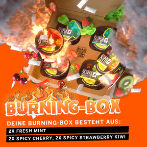 SCOOPER Energy Burning Box mit jeweils 2 Dosen Fresh Mint, 2 Dosen Spicy Cherry und 2 Dosen Spicy Strawberry Kiwi.