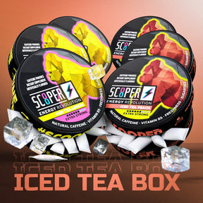 SCOOPER Energy Iced Tea Box Extra Strong (6 Dosen)